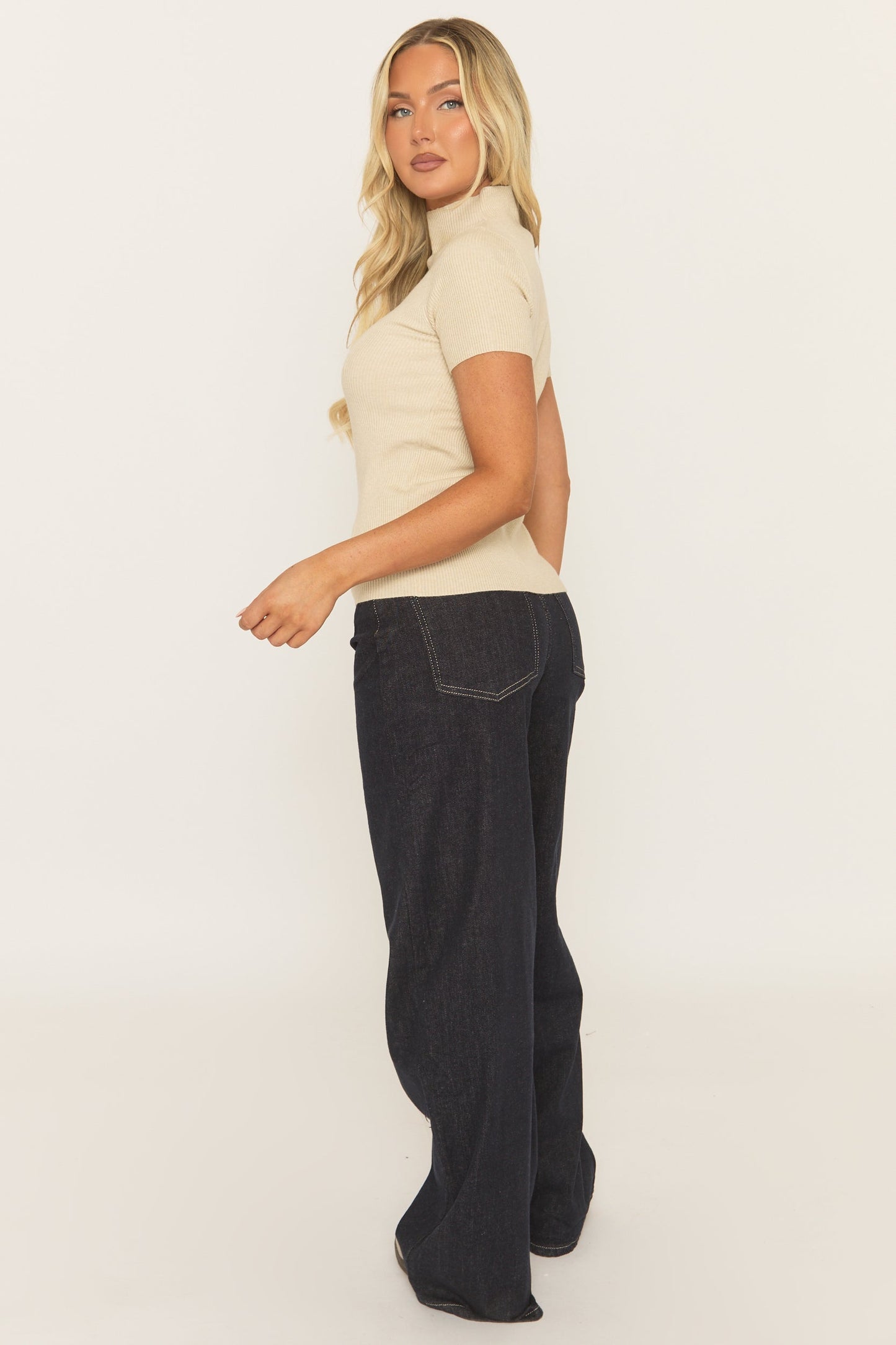 Beige Fine Knit High Neck Top - Jayca