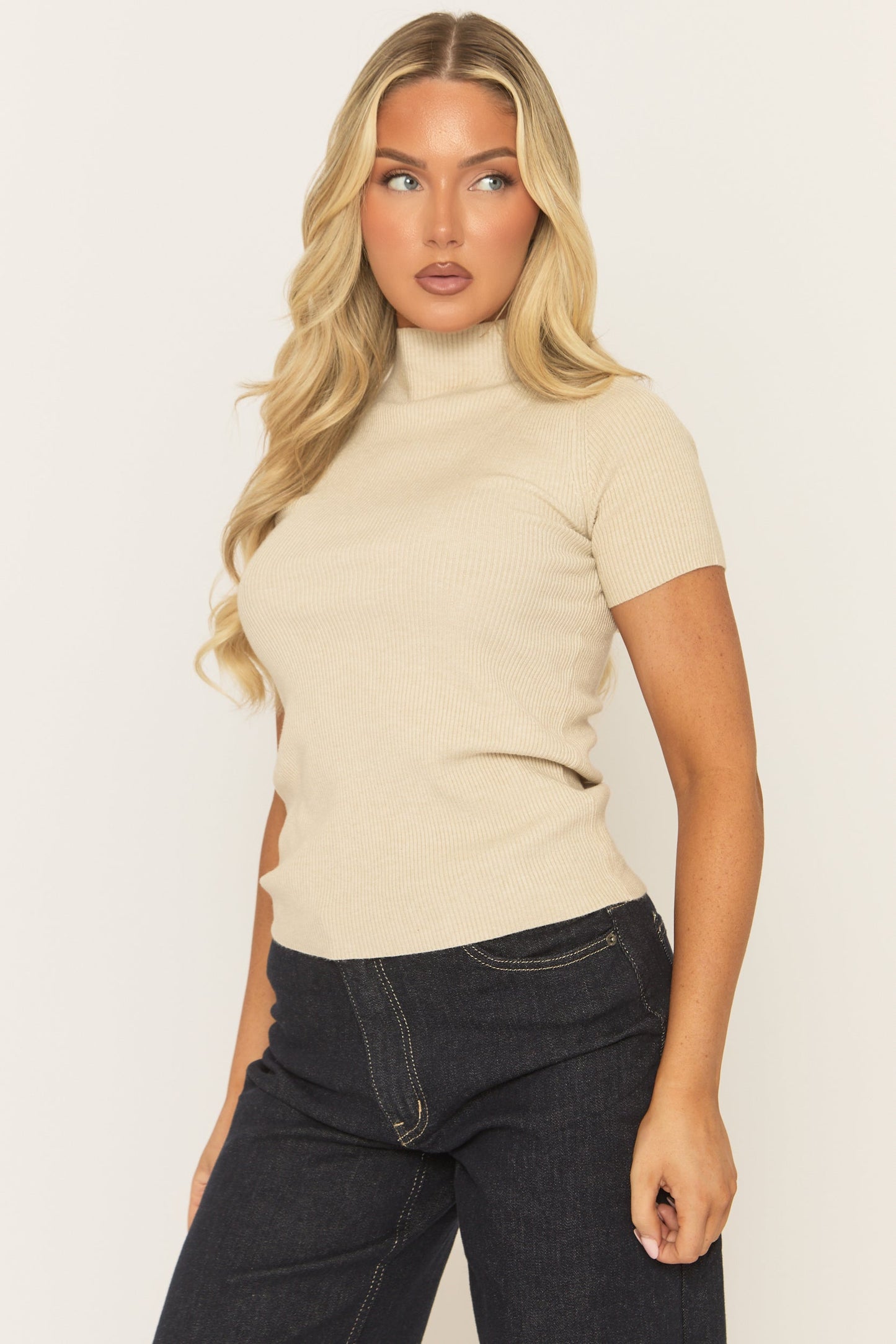 Beige Fine Knit High Neck Top - Jayca