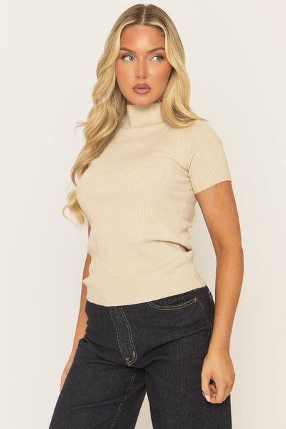Beige Fine Knit High Neck Top - Jayca