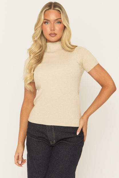 Beige Fine Knit High Neck Top - Jayca